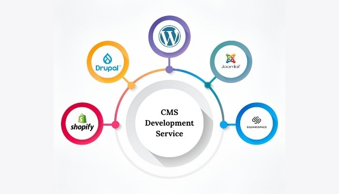 CMS Development