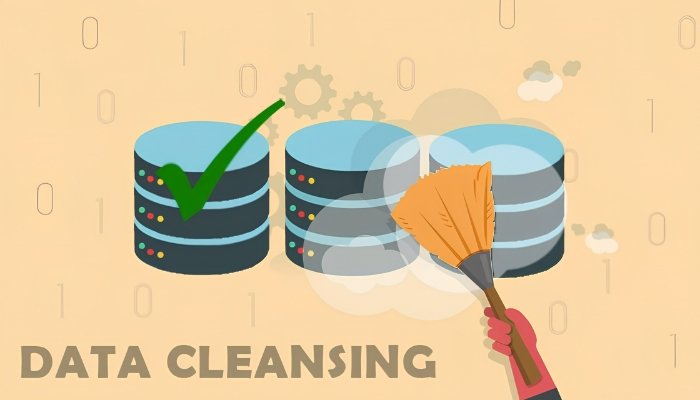Lead Verification & Data Cleaning