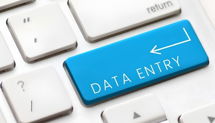 Online Data Entry